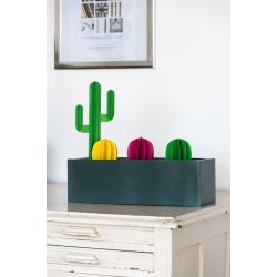 Mini cactus ARIZONA boule à planter