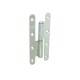 Paumelle Acer Zingué 6025 Monin